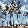 pointe faula