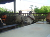 Anciens_colistiers_2