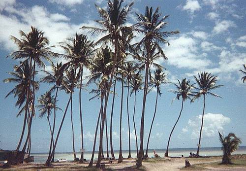 pointe faula